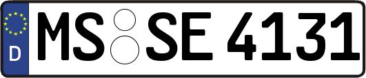MS-SE4131