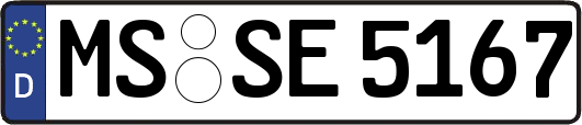 MS-SE5167