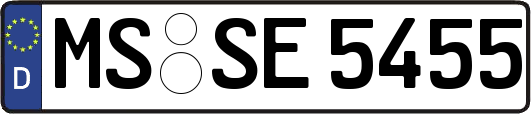 MS-SE5455