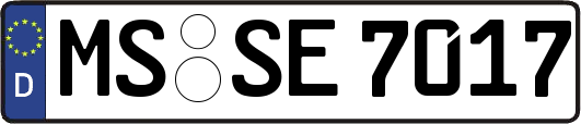 MS-SE7017