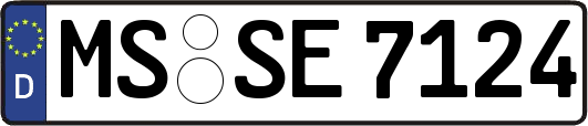 MS-SE7124