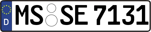 MS-SE7131