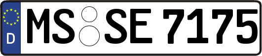 MS-SE7175