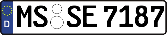 MS-SE7187