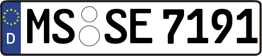 MS-SE7191