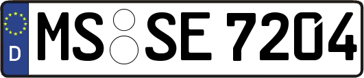 MS-SE7204