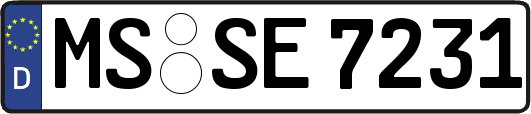 MS-SE7231