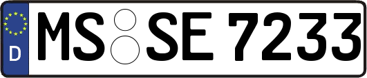MS-SE7233
