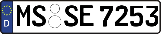 MS-SE7253