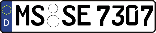 MS-SE7307