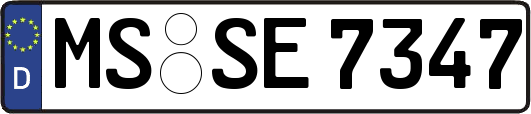 MS-SE7347