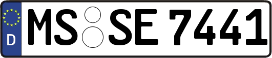 MS-SE7441