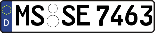 MS-SE7463