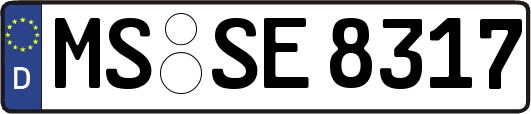 MS-SE8317