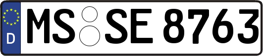 MS-SE8763