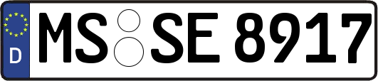 MS-SE8917