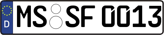 MS-SF0013