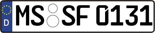 MS-SF0131