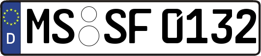 MS-SF0132