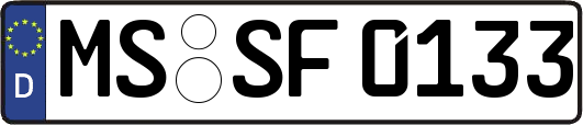MS-SF0133