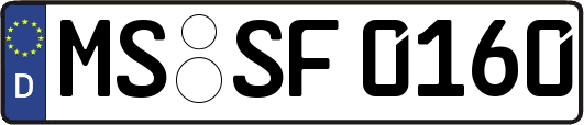 MS-SF0160