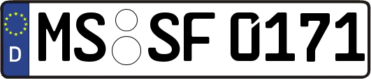 MS-SF0171