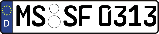 MS-SF0313