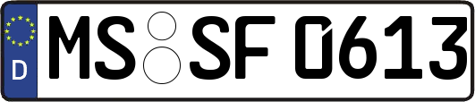 MS-SF0613