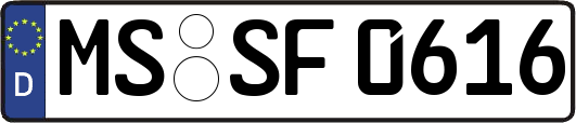 MS-SF0616