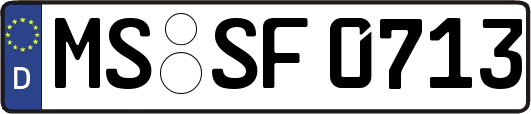 MS-SF0713