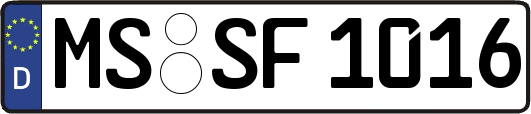 MS-SF1016