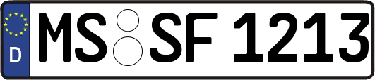 MS-SF1213
