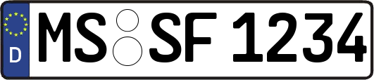 MS-SF1234