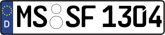 MS-SF1304