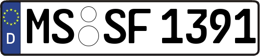 MS-SF1391
