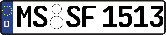 MS-SF1513