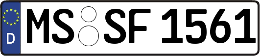 MS-SF1561