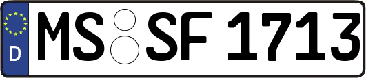 MS-SF1713