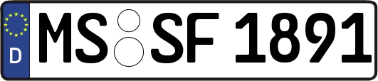 MS-SF1891