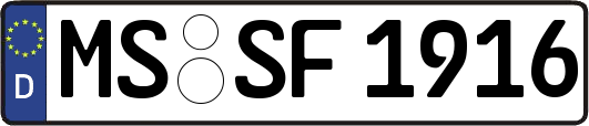 MS-SF1916