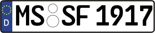 MS-SF1917