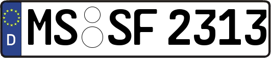 MS-SF2313
