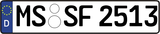 MS-SF2513