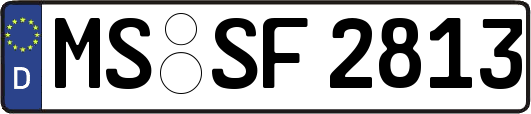 MS-SF2813