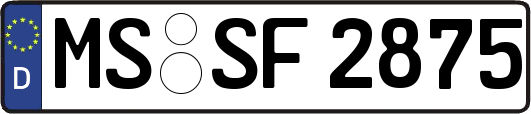 MS-SF2875