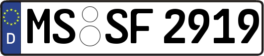 MS-SF2919