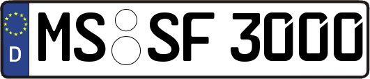MS-SF3000