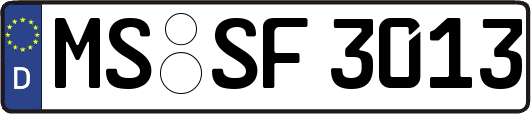 MS-SF3013