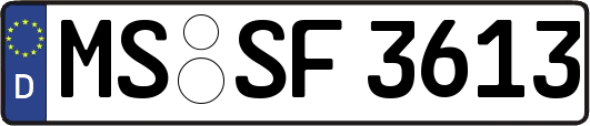 MS-SF3613