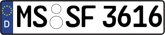 MS-SF3616
